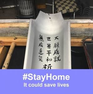 Meet your Posher, Hua han